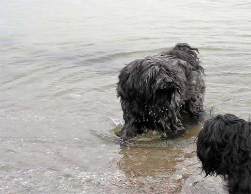 PICT0783_web