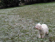 PICT0345-1_web