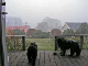 PICT0363-1_web