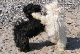 PICT0611-1_web