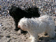 PICT0615-1_web