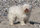 PICT0629-1_web