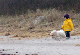 PICT0774_web