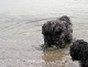PICT0783_web