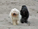 PICT0817_web_Titel