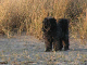 PICT0837_web