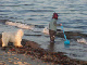 PICT0856_web