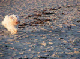 PICT0897_web