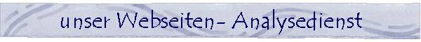 unser Webseiten- Analysedienst