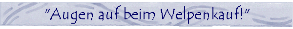 Augen auf beim Welpenkauf!