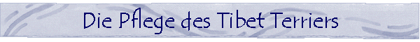 Tibet Terrier Pflege - leicht gemacht!