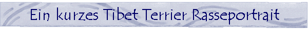 Deki la Chenga -- Das Tibet Terrier Rasseportrait