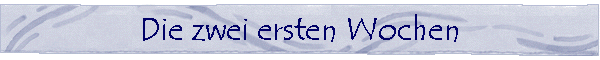 Deki la Chenga -- Tibet Terrier Welpen: Die ersten Wochen 2 (A- Wurf)
